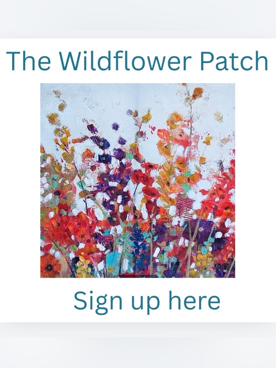 Other - 💐4/27-5/3💐13 Wildflowers!💐